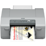 EPSON C831 Farbetikettendrucker